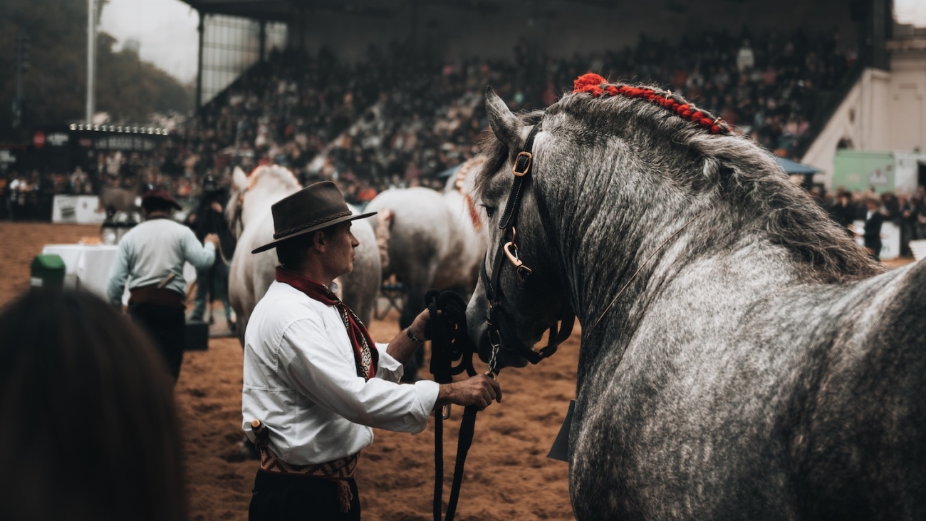 a man stands next to a horse